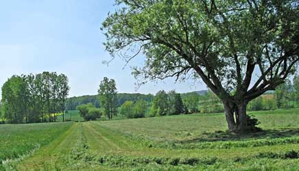 paysages Alsace